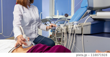 The doctor performs an ultrasound diagnosis of the abdominal cavity of a pregnant girl at an early stage of pregnancy. 118071928
