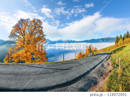 Incredible view of the meadows and mountains around  Zell lake or Zeller See 118072001
