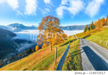 Incredible view of the meadows and mountains around Zell lake or Zeller See Incredible view of the meadows and mountains around Zell lake or Zeller See 118072017