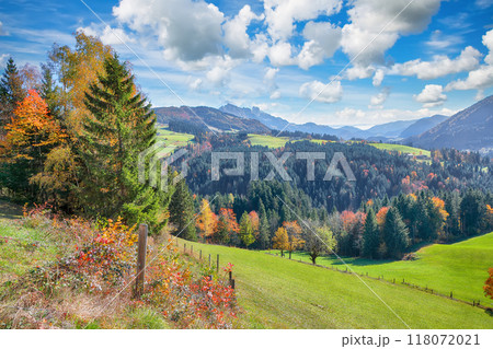 Captivating view of  Alpine green fields  near Abtenau village at autumn sunny day. 118072021