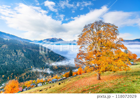 Spectacular view of the meadows and mountains around  Zell lake or Zeller See . 118072029