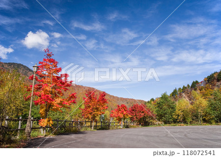 「平湯大滝」駐車場周辺の鮮やかな紅葉 118072541