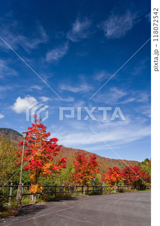 「平湯大滝」駐車場周辺の鮮やかな紅葉 118072542