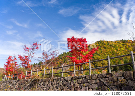 「平湯大滝」駐車場周辺の鮮やかな紅葉 118072551