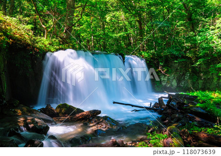 初夏の銚子大滝 118073639