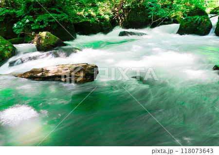 緑の綺麗な渓流 緑の綺麗な渓流 118073643