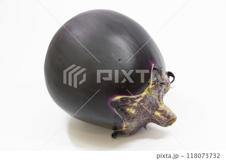 賀茂なす 賀茂なす 118073732