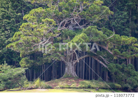 岩尾池 岩尾池 118073772