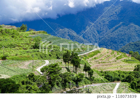 南横公路沿いの風景・高地にあるキャベツ畑【台湾/台東県】 118073839