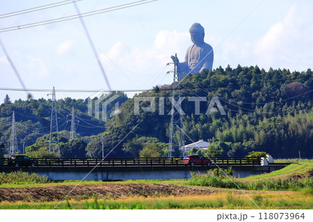 牛久大仏(茨城県牛久市) 牛久大仏(茨城県牛久市) 118073964