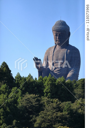牛久大仏（茨城県牛久市） 118073966
