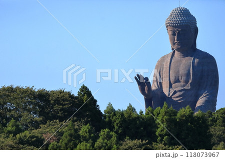 牛久大仏（茨城県牛久市） 118073967