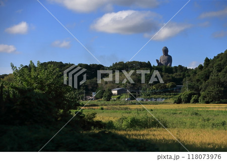 牛久大仏（茨城県牛久市） 118073976
