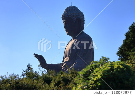牛久大仏（茨城県牛久市） 118073977