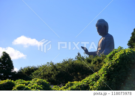 牛久大仏(茨城県牛久市) 牛久大仏(茨城県牛久市) 118073978