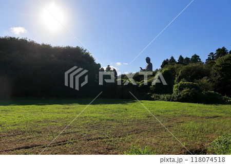 牛久大仏（茨城県牛久市） 118074518