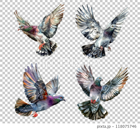 Detailed watercolor illustration of a brown bear head, showcasing realistic textures and lifelike expressions. Wildlife Animals. Detailed watercolor illustration of a brown bear head, showcasing realistic textures and lifelike expressions. Wildlife Animals. 118075746