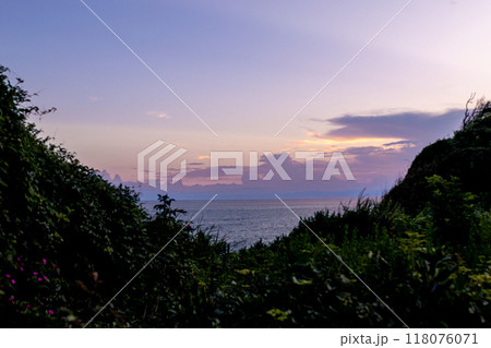 草の合間から見える夕焼けの海 草の合間から見える夕焼けの海 118076071