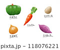 5種ビタミンカラーの野菜（かぼちゃ・人参・じゃがいも・玉ねぎ・さつまいも） 118076221