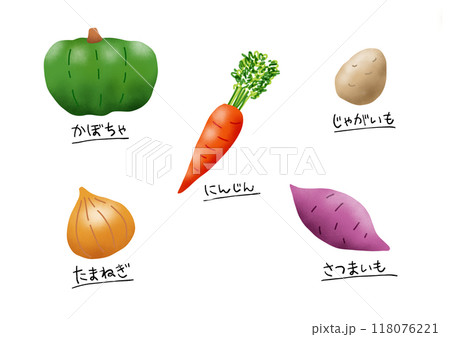 5種ビタミンカラーの野菜(かぼちゃ・人参・じゃがいも・玉ねぎ・さつまいも) 5種ビタミンカラーの野菜(かぼちゃ・人参・じゃがいも・玉ねぎ・さつまいも) 118076221