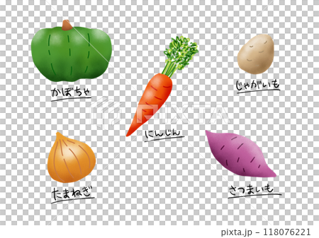5種維生素色蔬菜（南瓜、胡蘿蔔、馬鈴薯、洋蔥、地瓜） 118076221