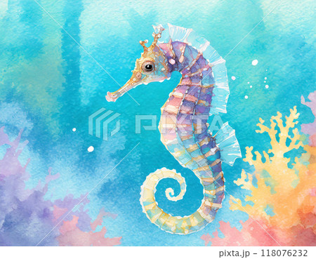 タツノオトシゴ 118076232