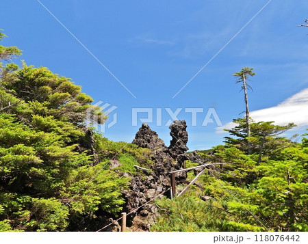 森林浴展望台コースから見上げる坪庭自然園第三休憩所 森林浴展望台コースから見上げる坪庭自然園第三休憩所 118076442