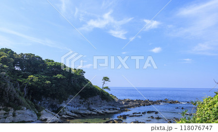 岩場の海岸と青い空（神奈川県横須賀市三浦半島荒崎海岸） 118076747