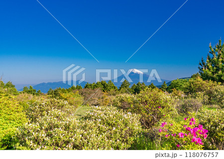 【静岡県】ツツジ咲く伊豆スカイライン道路から富士山眺望 118076757