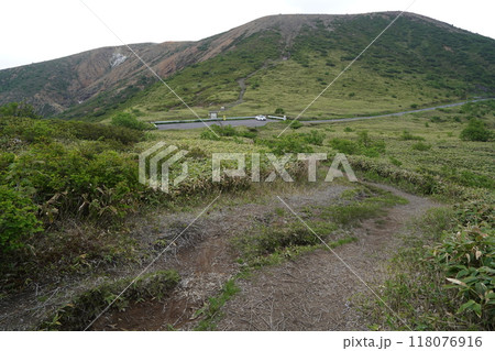 草津白根山山頂付近 国道292号沿い 山田峠南の小高い山から、駐車場方面を見る 正面は草津白根山 草津白根山山頂付近 国道292号沿い 山田峠南の小高い山から、駐車場方面を見る 正面は草津白根山 118076916