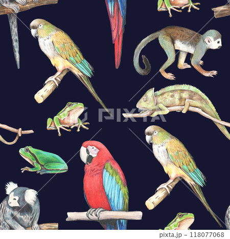 Seamless pattern with realistic tropical animals. Pencil hand-drawn illustration 118077068