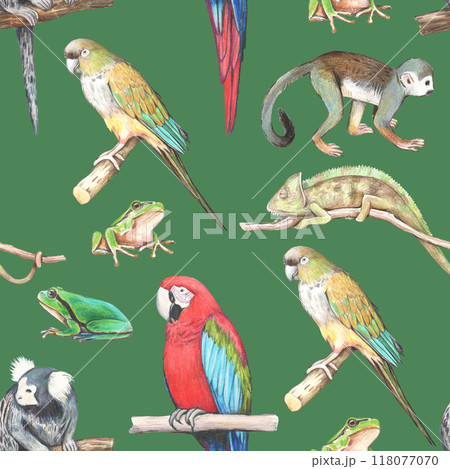Seamless pattern with realistic tropical animals. Pencil hand drawing. 118077070