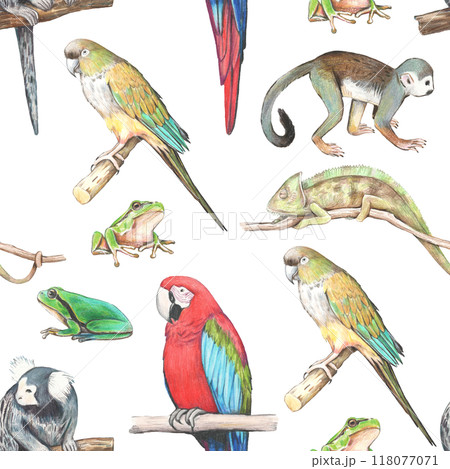 Seamless pattern with realistic tropical animals. Pencil hand drawing. Seamless pattern with realistic tropical animals. Pencil hand drawing. 118077071