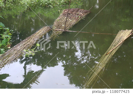 golden fiber jute and stick stock golden fiber jute and stick stock 118077425