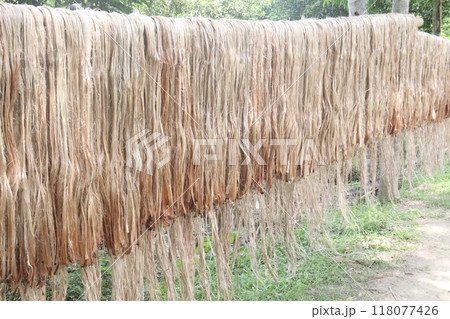 golden fiber jute and stick stock 118077426