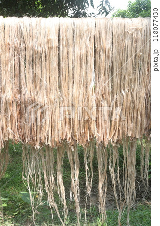 golden fiber jute and stick stock golden fiber jute and stick stock 118077430