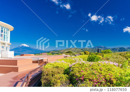 【静岡県】ツツジが美しい十国峠展望台、富士山眺望 【静岡県】ツツジが美しい十国峠展望台、富士山眺望 118077650