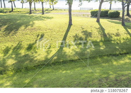 公園の芝 木陰の散歩道 公園の芝 木陰の散歩道 118078267