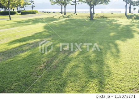 公園の芝　木陰の散歩道 118078271
