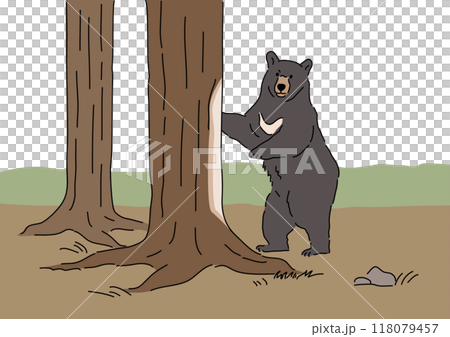 ツキノワグマ 118079457