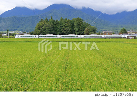 初秋の安曇野を行く特急あずさ 118079588