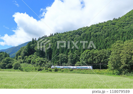 初秋の白馬山麓を行く特急あずさ 118079589