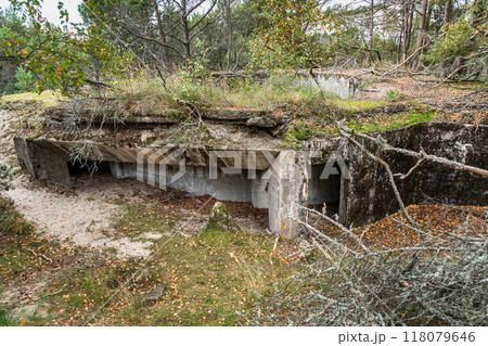 Coastal Batareya Raul in Curonian spit national Park. Morskoe. Kaliningrad region. Russia 118079646