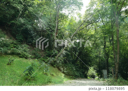 有馬温泉癒しの森【六甲有馬ロープウェイ有馬温泉駅から周辺散策】/ 神戸市北区有馬町 有馬温泉癒しの森【六甲有馬ロープウェイ有馬温泉駅から周辺散策】/ 神戸市北区有馬町 118079895