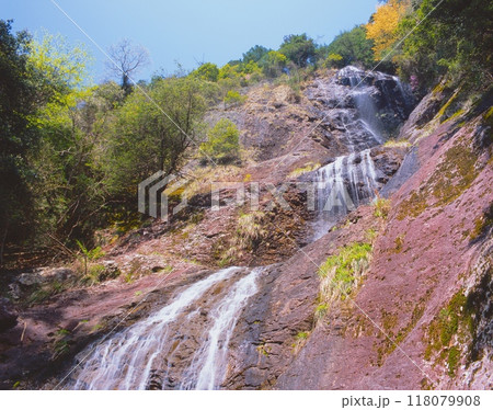 七種の滝(なぐさのたき)、新緑の季節/別名:観音滝/落差72m/近畿観光100景/兵庫県八景 七種の滝(なぐさのたき)、新緑の季節/別名:観音滝/落差72m/近畿観光100景/兵庫県八景 118079908