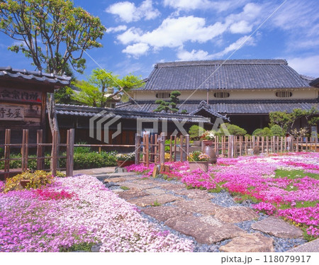 「国登録有形文化財」旧来住家（きゅうきしけ）住宅、梅吉亭の満開の芝桜の庭園 118079917