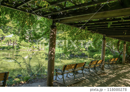 日比谷公園　東京都千代田区 118080278