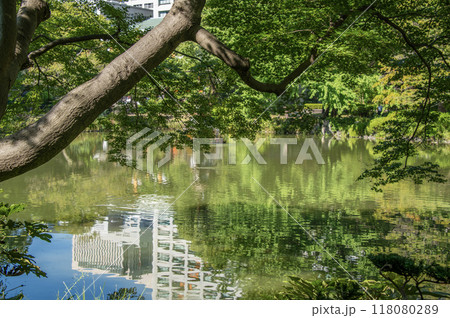 日比谷公園　東京都千代田区 118080289