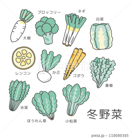 冬野菜 食材 イラストセット 冬野菜 食材 イラストセット 118080385