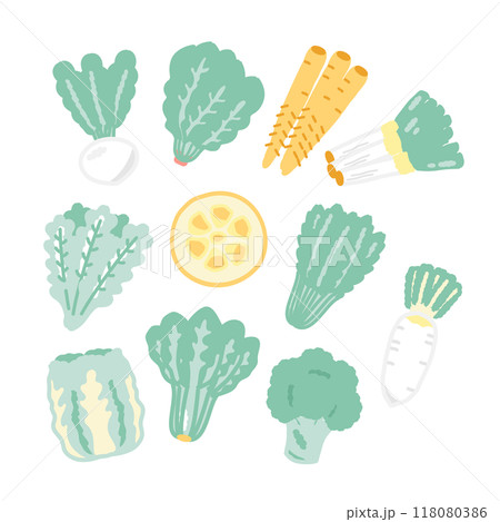 冬野菜　食材　イラストセット 118080386